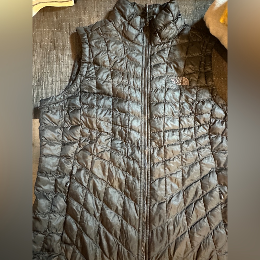 The North Face Dark Quilted Outerwear